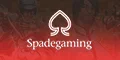 awc_spadegaming by วิธีเล่น บาคาร่า ให้ได้เงิน